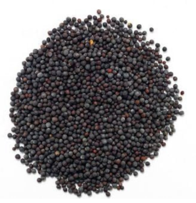 Mustard seeds 100g