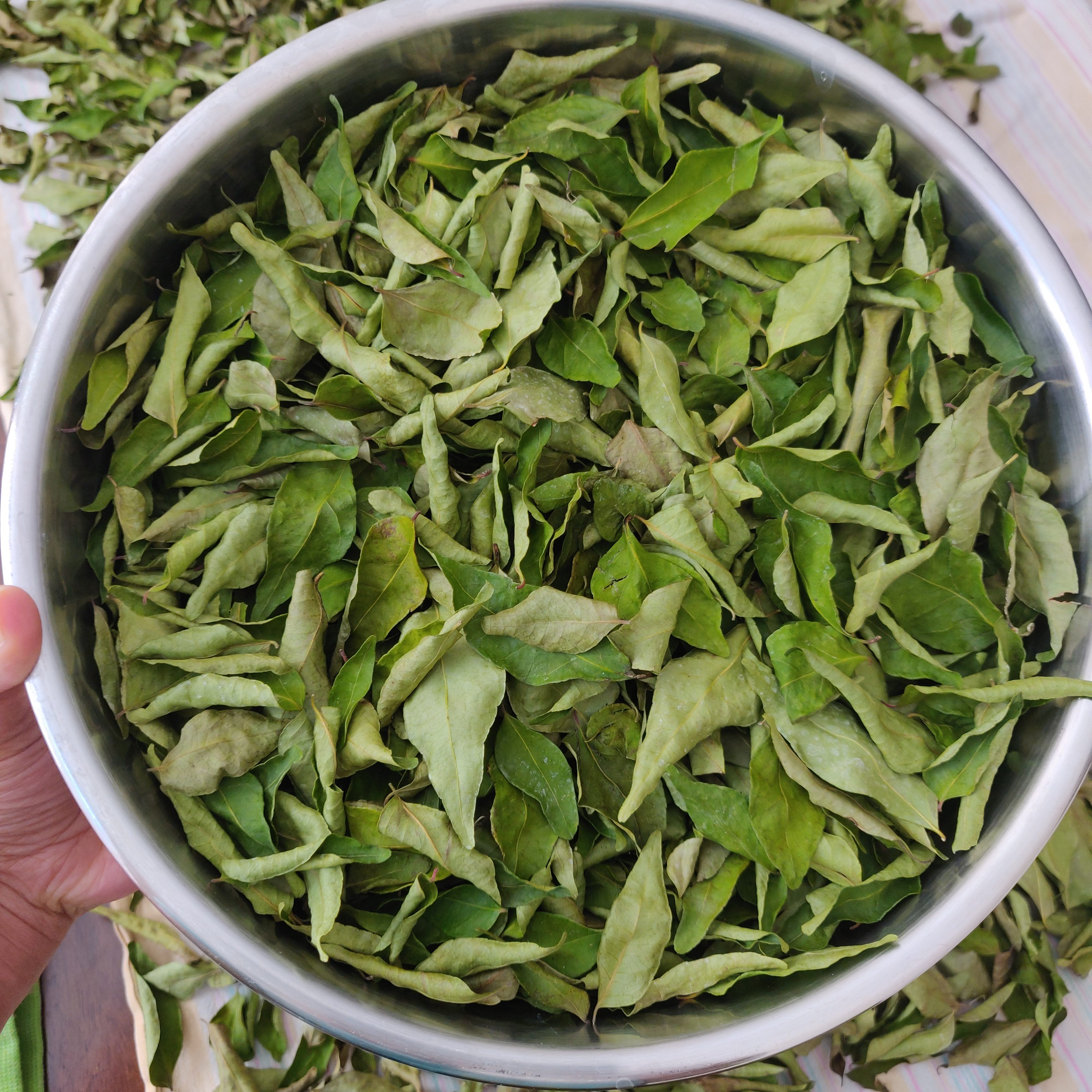 Dry Curry Patta (Leaves) 40g - Click Image to Close