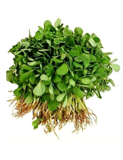 Methi 1 bunch