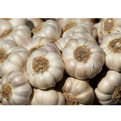 Indian garlic 500gms - Click Image to Close