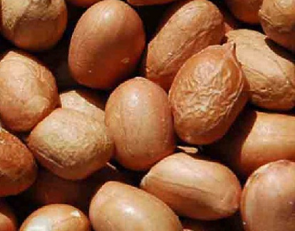 Peanuts 500g