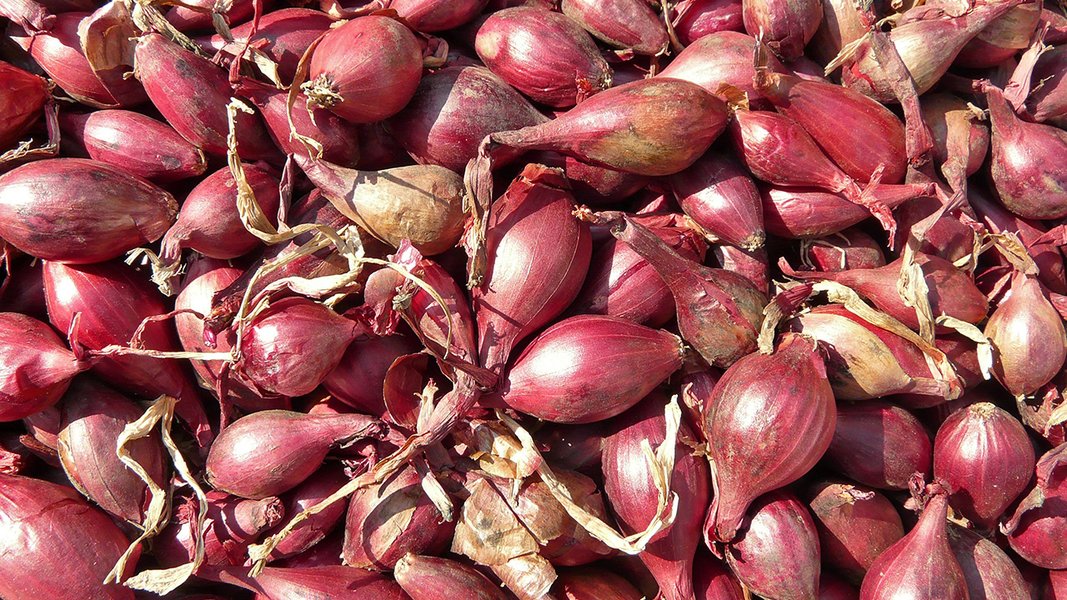 Shallots 500gms